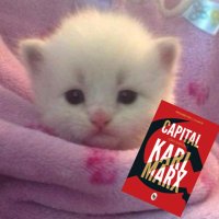 Natalie (@meowzers666) 's Twitter Profile
