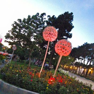 Eng_Petro93's profile picture. Petroleum Engineer