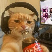nat (@nat9ly) 's Twitter Profile Photo nat (@nat9ly) 's Twitter Profile Photo
