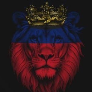 The official account of Liechtenstein's biggest patriot group, Stop The Boats Liechtenstein. We will defend our shores to the death. 🇱🇮🦁