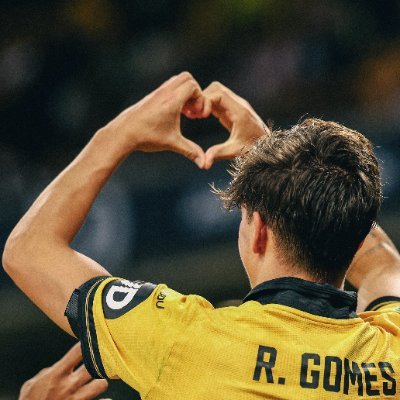 20 | Wolves Fan | Bellegarde Enjoyer | Geology Nerd
#LightsUpLetsGo