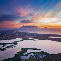 Elizabeth Johnson (@ssddaa20036) Twitter profile photo