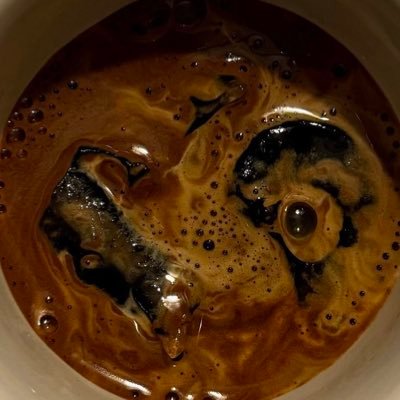 whoisthatece's profile picture. tw kullanmayi unuttum bu arada