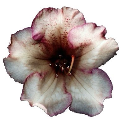 E4astarlitte's profile picture. Age:20