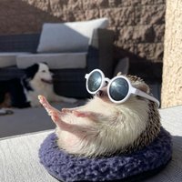 managing (@iwillbeokay_0) 's Twitter Profile