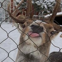 Wabs (@wabs1969) 's Twitter Profile