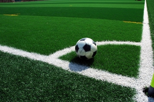 サッカー観戦/将棋/読書(哲学など)
