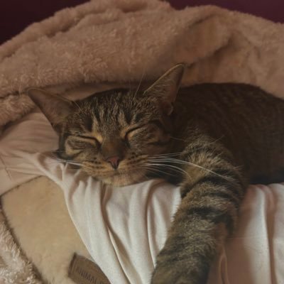 mgxmrt's profile picture. 