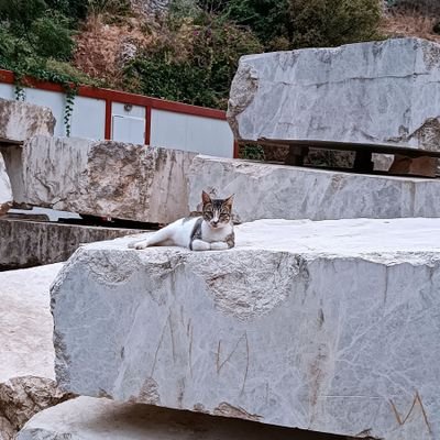 siyahperest's profile picture. bilen bilir bilmeyen bilmesin....