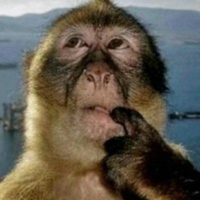 yo25678's profile picture. 