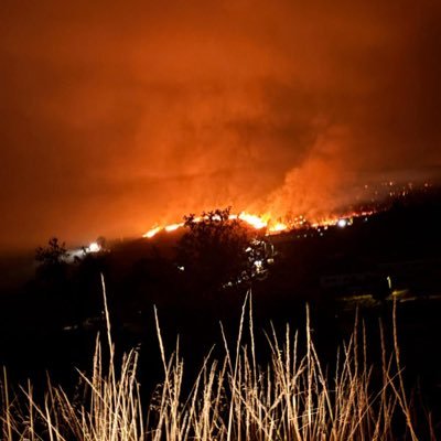 RodrigoMbenfas's profile picture. Benfica ❤️