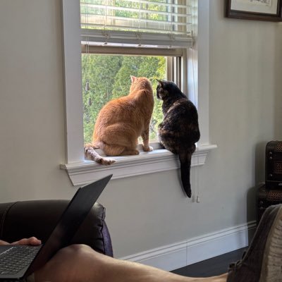 debra_ramo16089's profile picture. Retired
