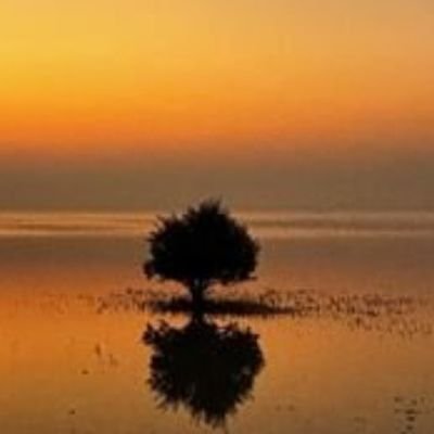 رحمةً وغُفرانًا ، بردًا وسلاما ، طمأنينة وقرة عين بدار السّرور لموتانا وموتى المسلمين في قبورهم يا #رب