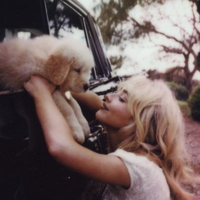 man’s best friend is out now 🐾 seeing sabrina on my birthday 🥹