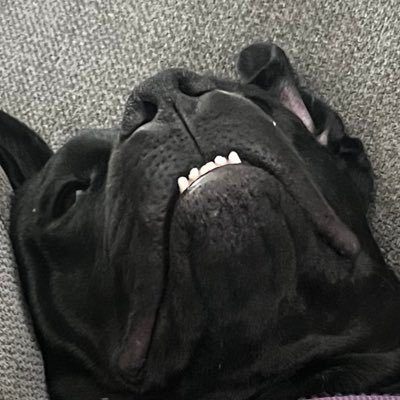 Mc6857158095651's profile picture. 