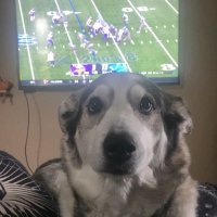 Devin (@devonhoon1) 's Twitter Profile Photo Devin (@devonhoon1) 's Twitter Profile Photo