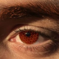Martin (@honeycomb_rot) 's Twitter Profile