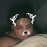 Maluh10_'s profile picture. 𝐦𝚞𝚜𝚒𝚌 & 𝐉𝚎𝚗𝚗𝚊 𝐎𝚛𝚝𝚎𝚐𝚊 & 𝐄𝚖𝚖𝚊 𝐦𝚢𝚎𝚛𝚜 & 𝐥𝚎𝚜𝚋𝚒𝚊𝚗𝚒𝚜𝚖⋆.˚✮🎧