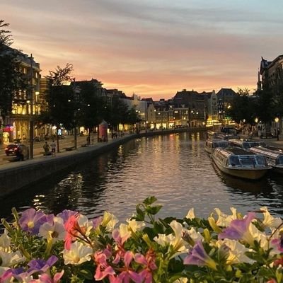 leahok_'s profile picture. 