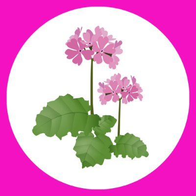 サクラソウ鍼灸院💛訪問鍼灸マッサージ/マッサージ師募集中さんのプロフィール画像