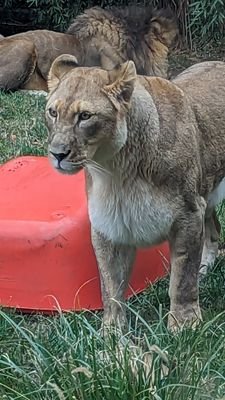 aryck_abbott's profile picture. 