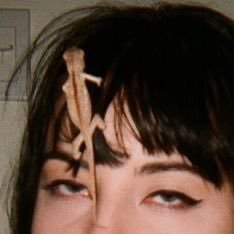 em0r0ttingmess's profile picture. i quit