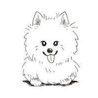Neo゚ (@neosinging) 's Twitter Profile