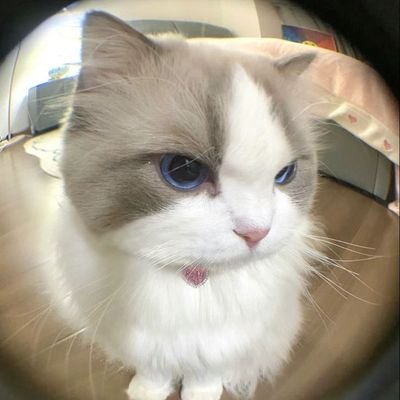 pang_hathai's profile picture. 