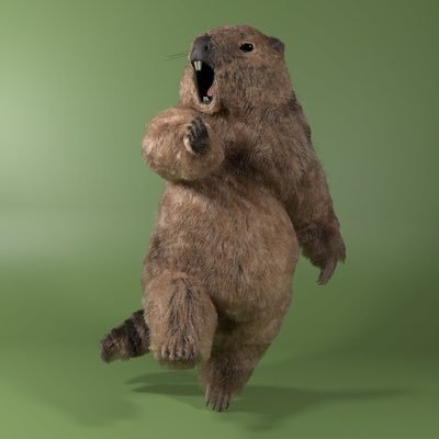 R9Dv7tm6wyYoCzE's profile picture. クロス屋さんの投資垢 投資においての座右の銘は「慎重果断」普段は「呑気自適」😄