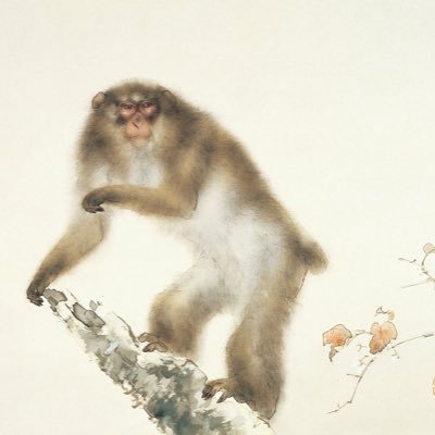 humble macaqueさんのプロフィール画像