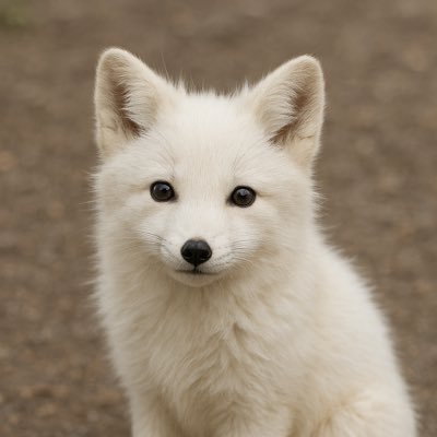 Kawaikitune's profile picture. 気分に合わせて日常を更新します。