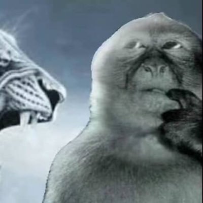 pv102mins's profile picture. sarah mais unhinged @manguecamomille pv/backup