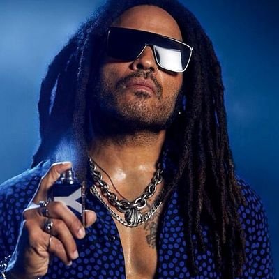 Private Account Managed By Lenny Kravitz Himself