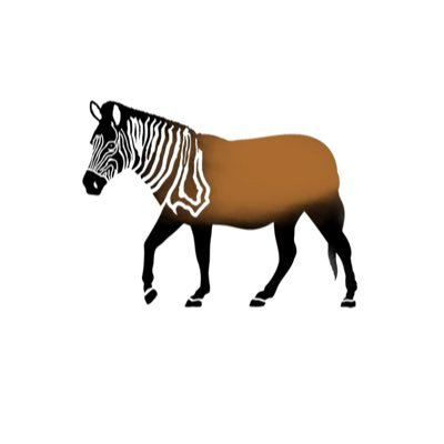Desglosando la selva de lo incomprensible 🦓 Somos un medio digital especializado en negocios, economía, tecnología, cultura y sociedad en Venezuela.