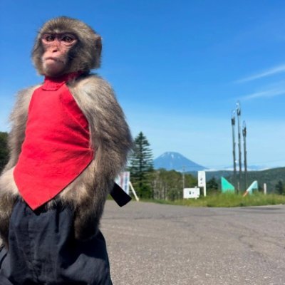 YujiPower130202's profile picture. Sagittarius ♐️