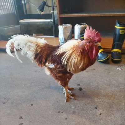 pdSrhBPfvH18866's profile picture. アニオタ音ゲーマーです。ウニと豆腐メイン

マガジン愛読者

無言フォロー失礼します