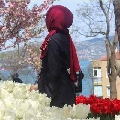 La Galibe İllallah☝️🇵🇸
Ah hüznün şehri Gazze, yüreğinde sancılar
Tâ Sâadet Asrı'ndan kalma miras acılar