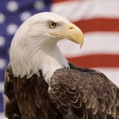 Warncskx's profile picture. Stay strong. You never know who you are inspiring.