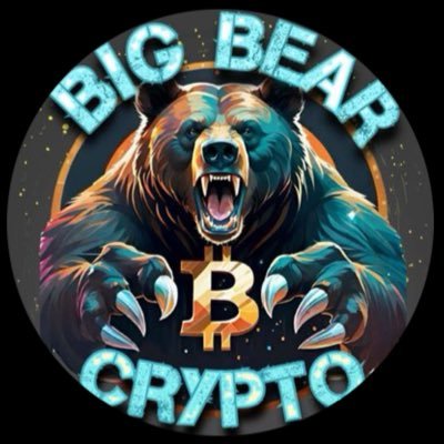 Big Bear Crypto Profile