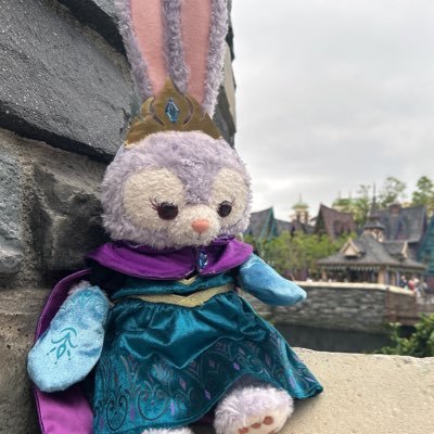 02/ 🇨🇳🏰9/23-24 みんな大好きですが、特にステラ・ルーちゃんとクロウハウザー大好きです💕💕💕 Disney好きな方と仲良くなりたいです!無言フォロー失礼します🙇🏻♀️