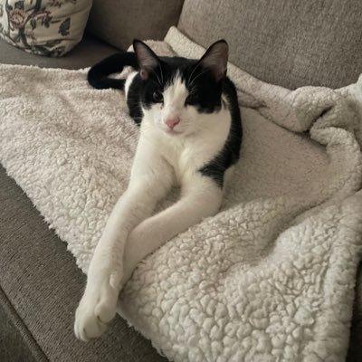 TaylorBecky46's profile picture. 