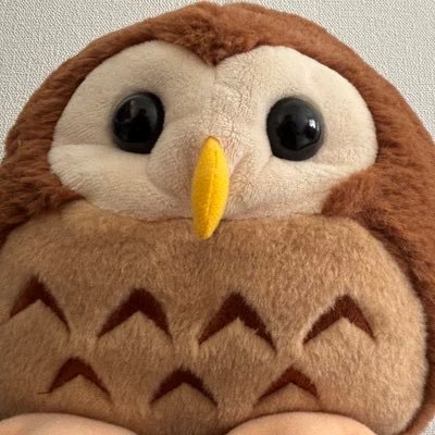 Software Developer / AIコーディングの勉強したい / IPA(SA, SC, AP, FE)、AWS全完