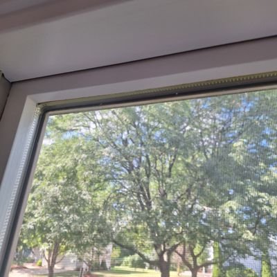 g18274021's profile picture. 