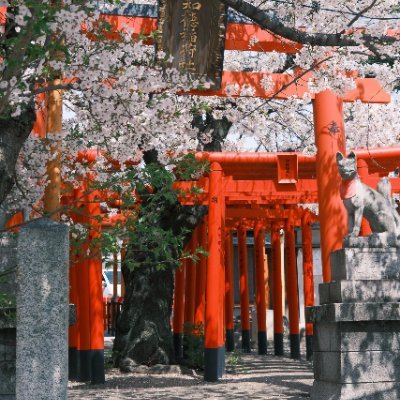 旅行が大好きな台湾人です✈️
日本の神社の静けさと厳かさを感じるのが好きです⛩️
旅は足を運ぶことだけでなく、心を癒す時間でもあります✨
旅先で出会った景色や美味しい食べ物、感動をシェアします