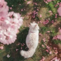 🌷 (@runz_22) 's Twitter Profile