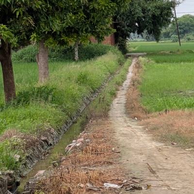 VikasWisky's profile picture. farmer