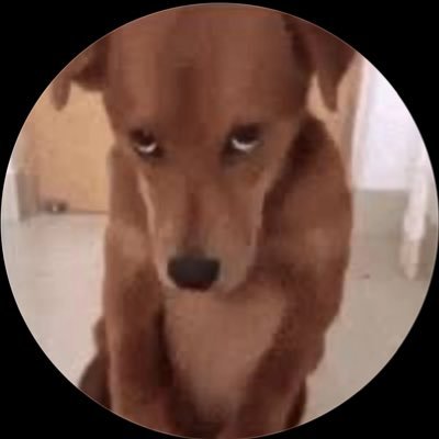 Tusky63667700's profile picture. 