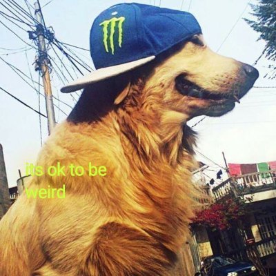 Azathoth_SEEK's profile picture. 