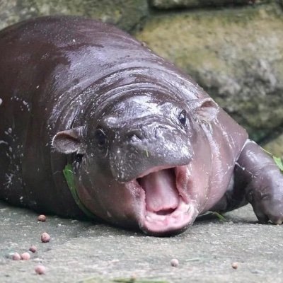 chuckles2much's profile picture. In and on all manner of things. Hot mess express.