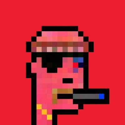 segwitnitwit ⛲️ Profile